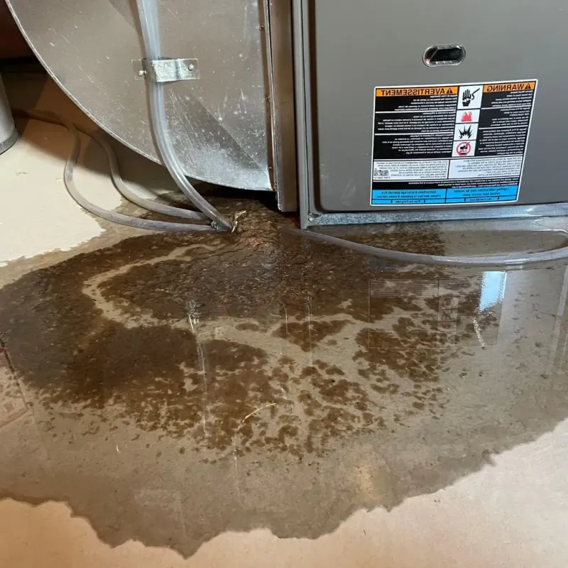 Pipe Burst and Leak Restoration in Leslie, MI