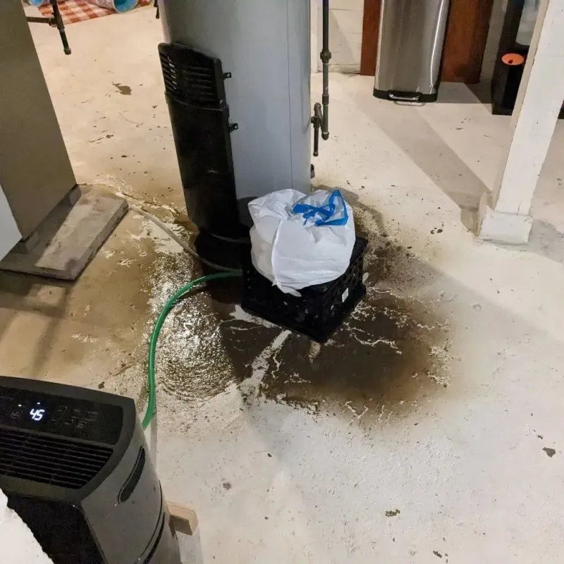 Sewage Backup Cleanup Service in Leslie, MI